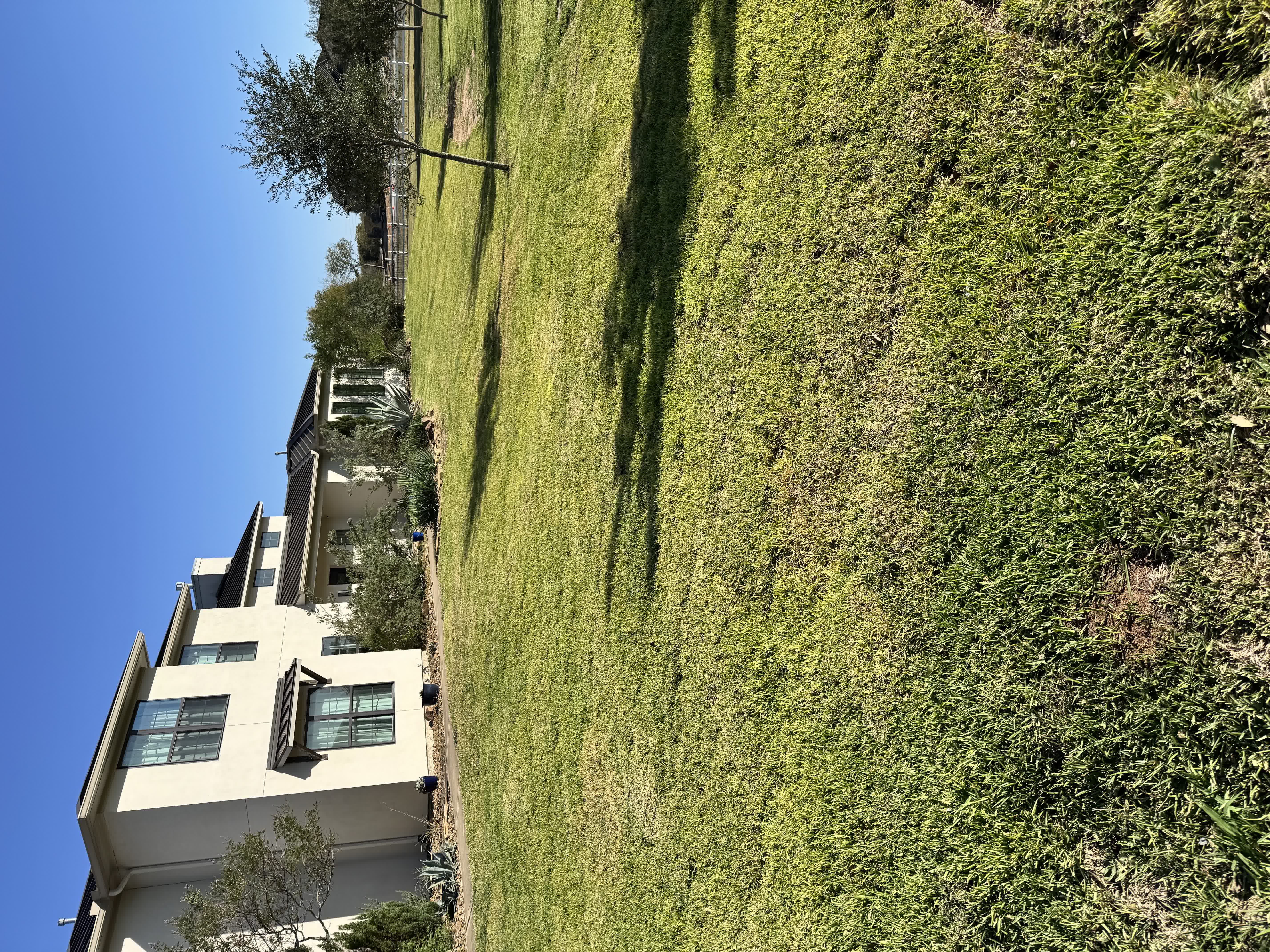 Richmond regrading — finished grade