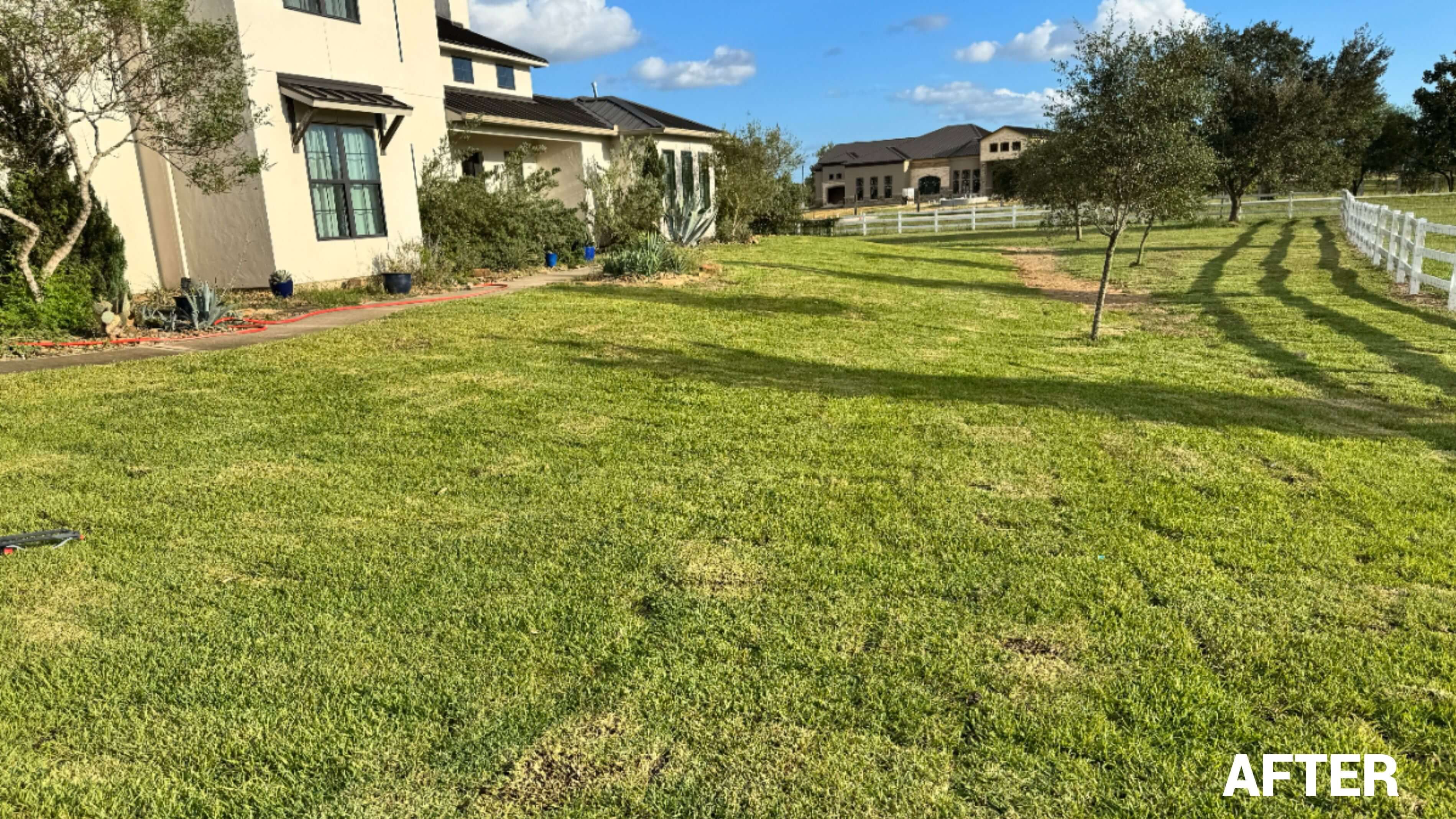 Before: Yard with drainage issues